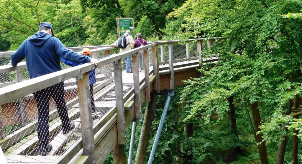 Mein Sohn und ich auf dem Baumwipfelpfad im Naturerbe-Zentrum Rügen